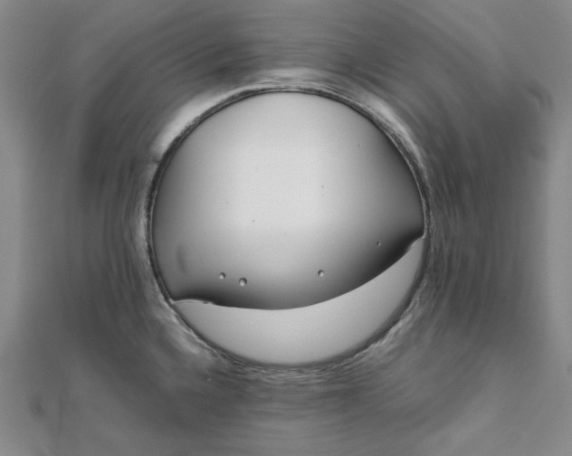 X0000111781336200908061107