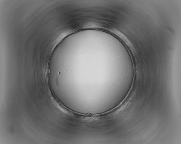 X0000111781337200908061107