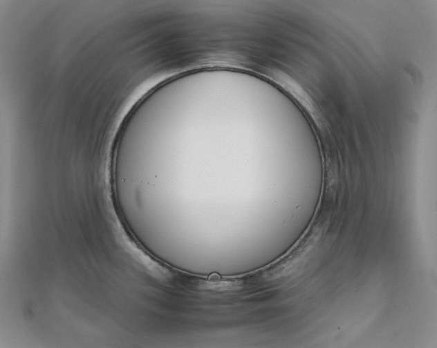 X0000111781339200908061107