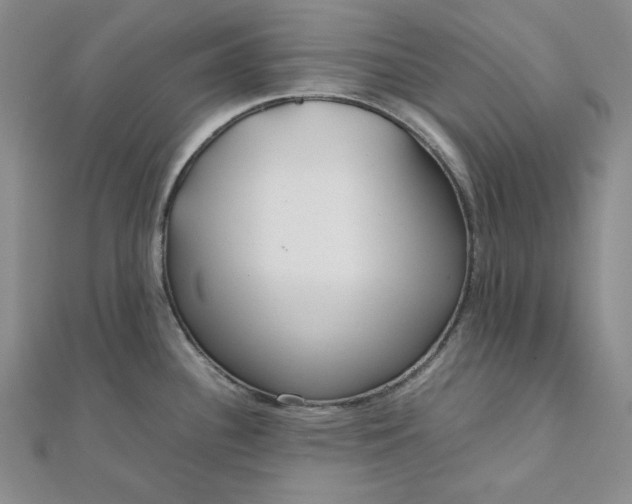 X0000111781340200908061107