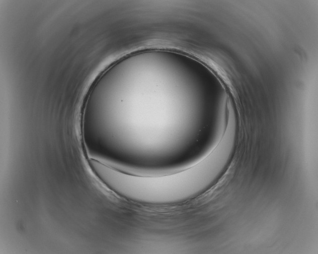 X0000111781342200908061107
