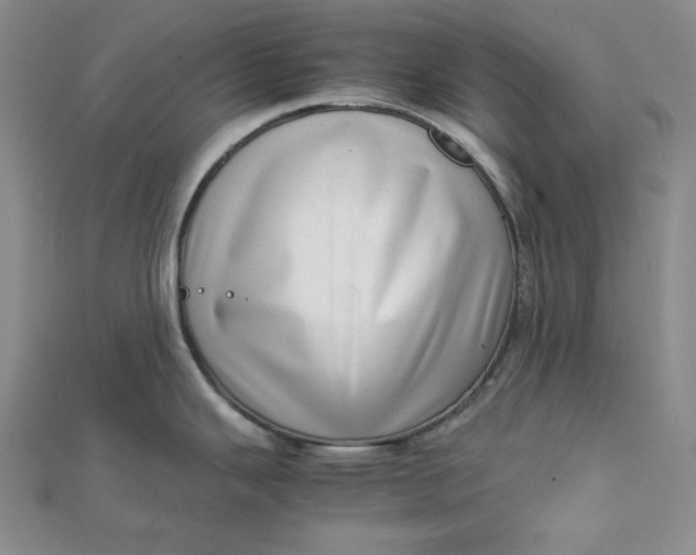 X0000111781343200908061107