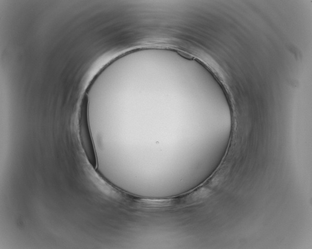 X0000111781344200908061107