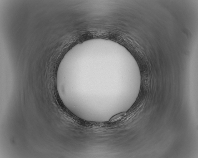 X0000111781345200908061106