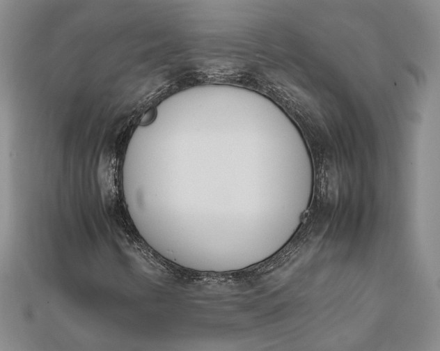 X0000111781346200908061106
