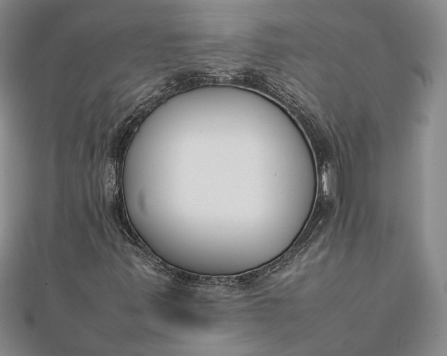 X0000111781347200908061106