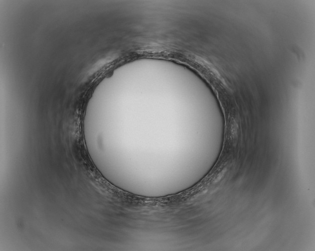 X0000111781350200908061106