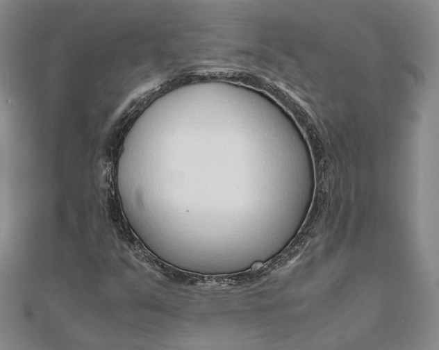 X0000111781351200908061106