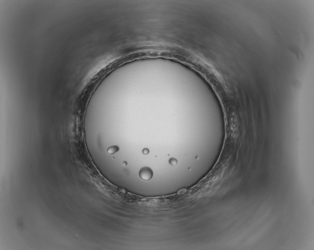 X0000111781352200908061106