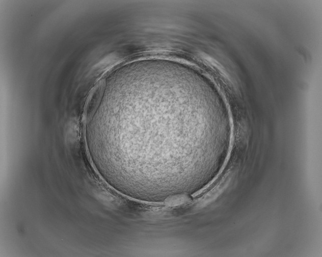 X0000111781353200908061106