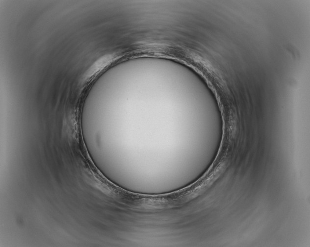 X0000111781354200908061106