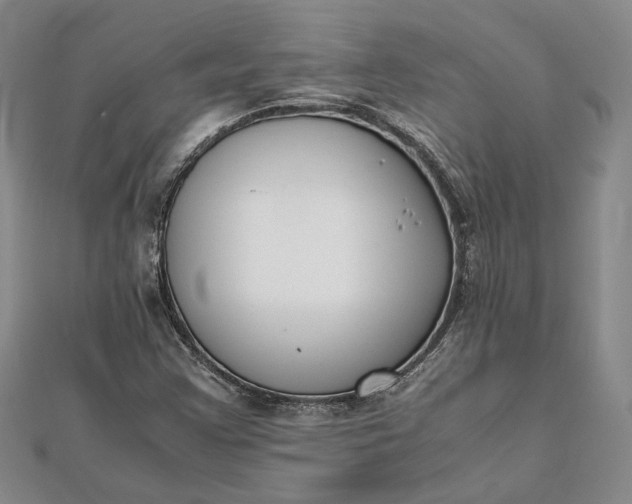 X0000111781355200908061106