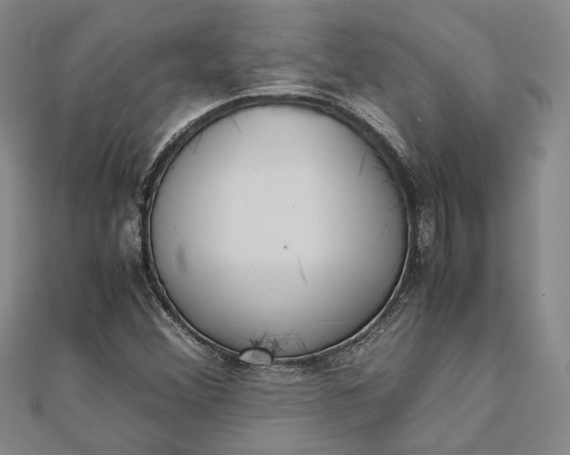 X0000111781356200908061106