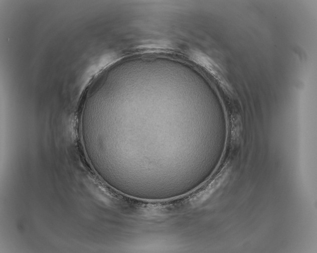 X0000111781357200908061106