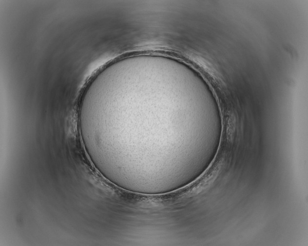 X0000111781358200908061106