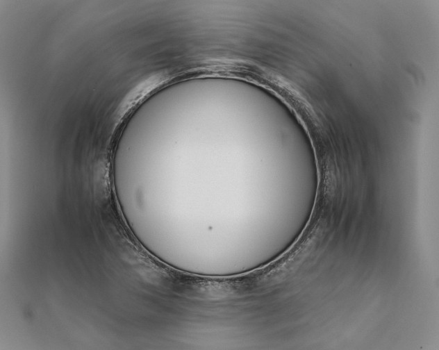 X0000111781362200908061106
