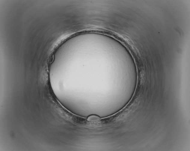 X0000111781363200908061106