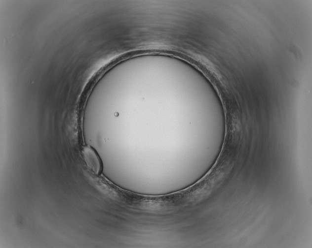 X0000111781364200908061106