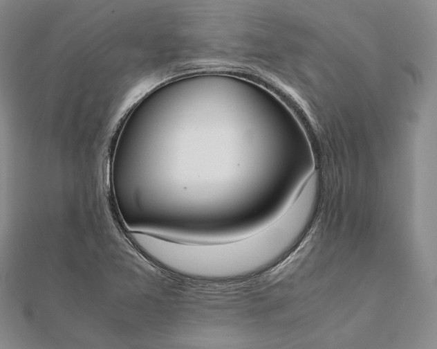 X0000111781365200908061106