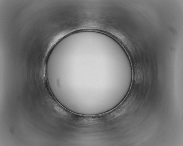 X0000111781366200908061106