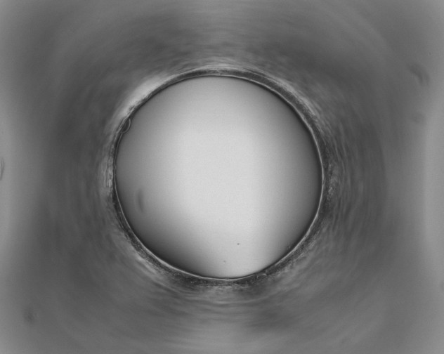 X0000111781367200908061106