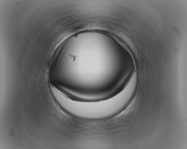 X0000111781369200908061106