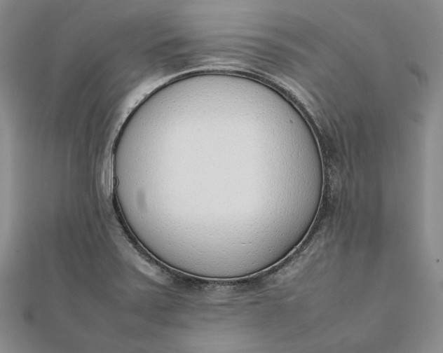 X0000111781371200908061106