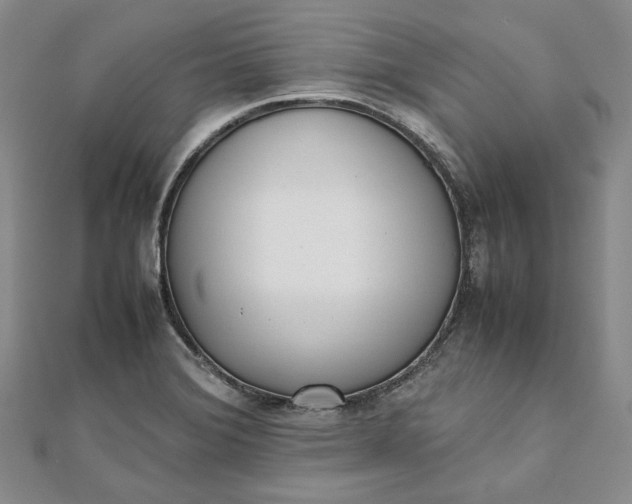 X0000111781372200908061106