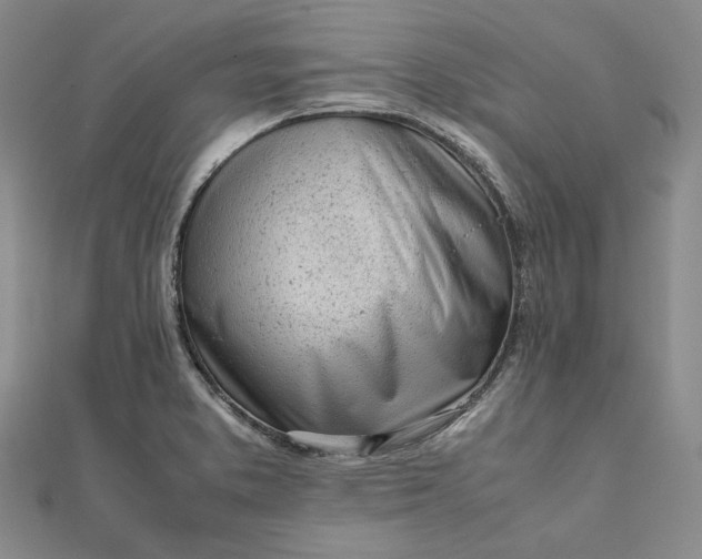 X0000111781373200908061106