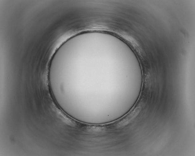 X0000111781374200908061106