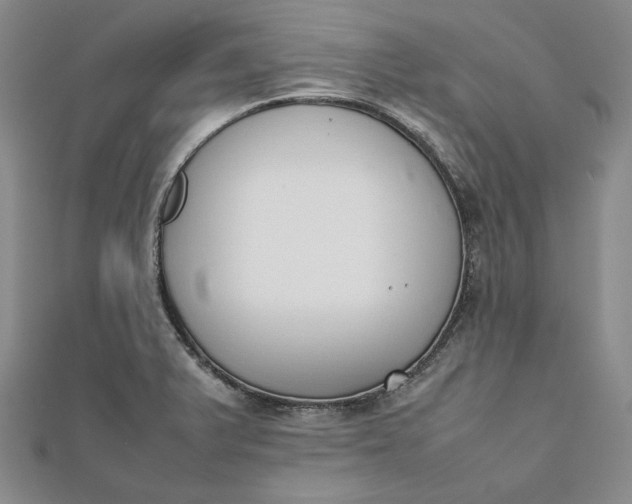 X0000111781375200908061106