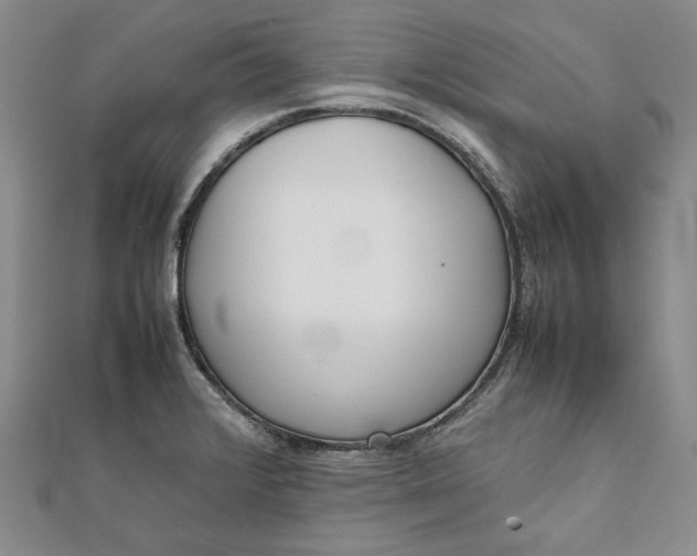 X0000111781376200908061106