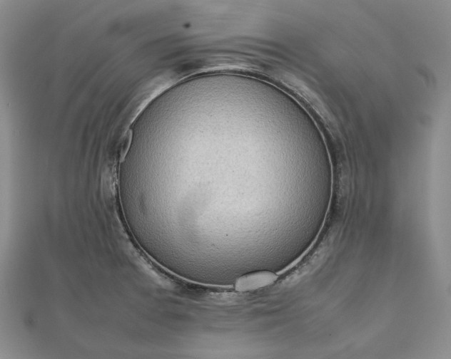 X0000111781377200908061106