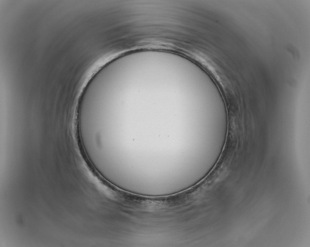 X0000111781379200908061106