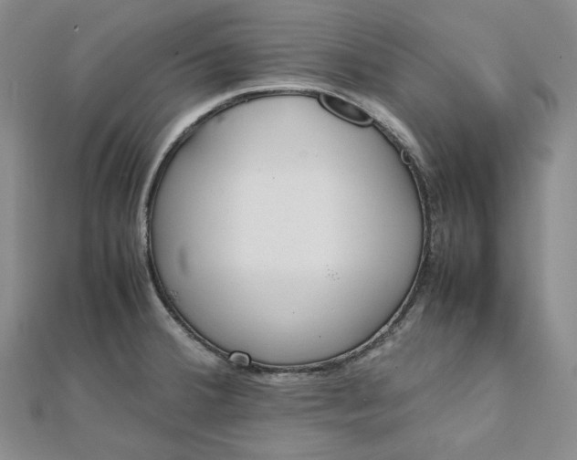 X0000111781380200908061106