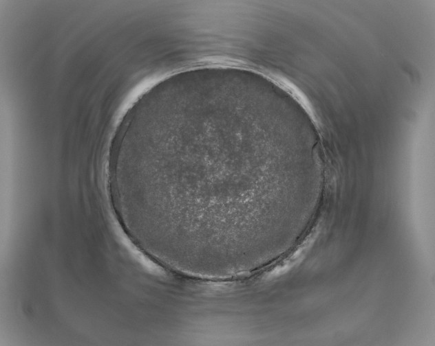 X0000111781381200908061106