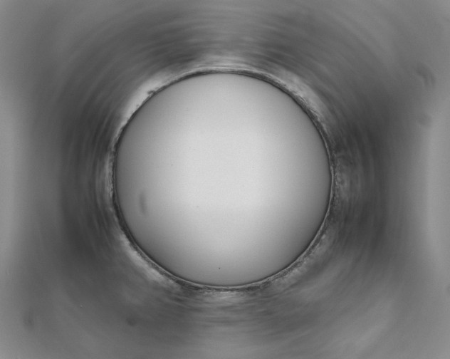 X0000111781382200908061106
