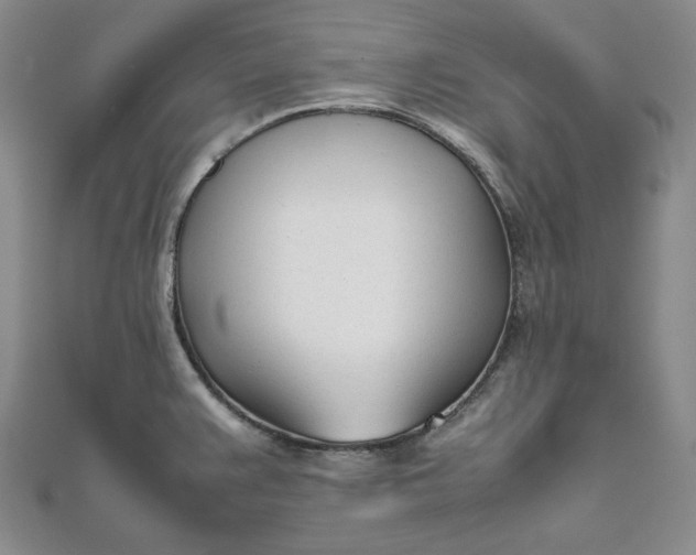 X0000111781383200908061106