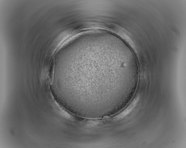 X0000111781385200908061106