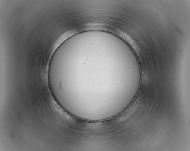 X0000111781386200908061106