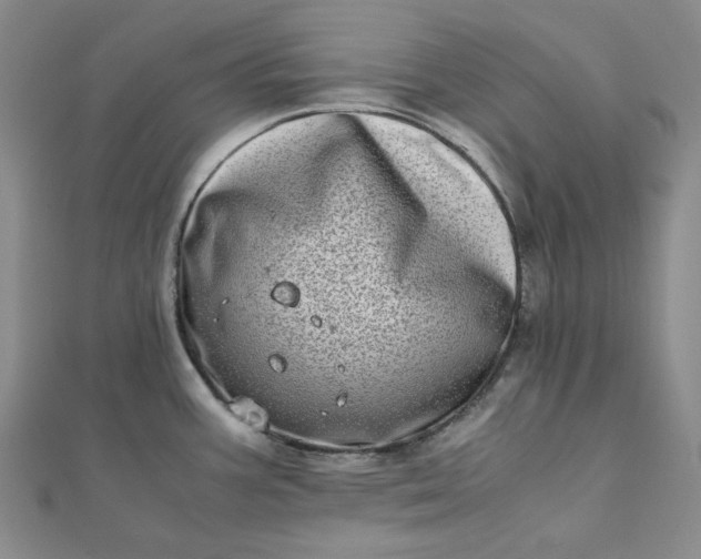 X0000111781387200908061105