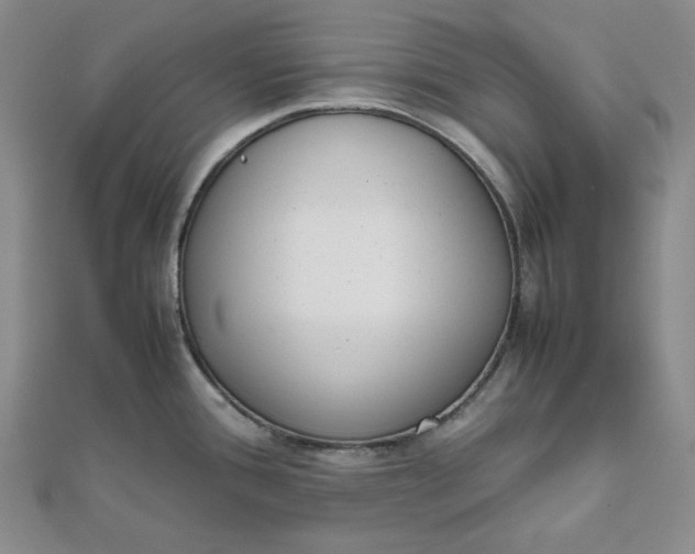 X0000111781388200908061105