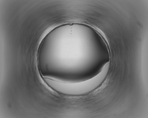 X0000111781389200908061105