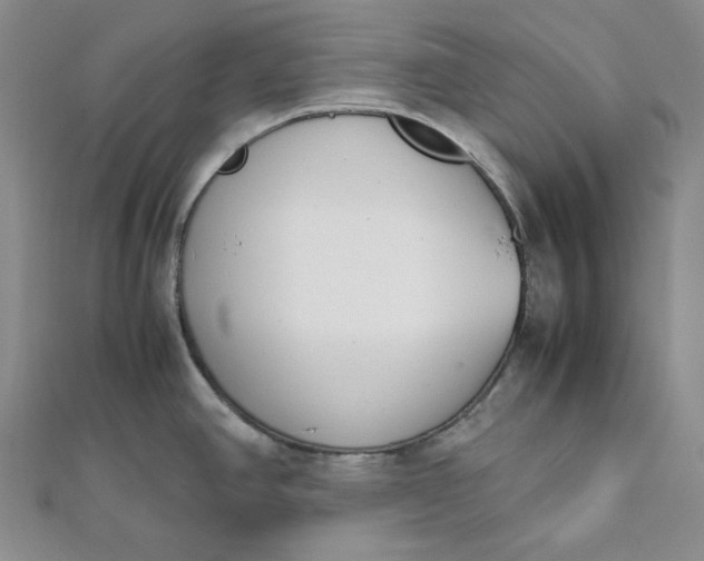 X0000111781390200908061105