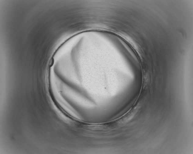 X0000111781391200908061105