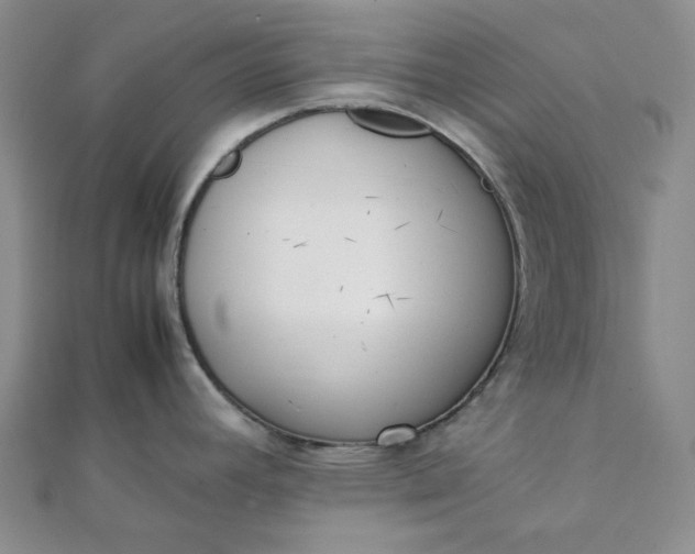 X0000111781392200908061105