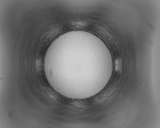X0000111781395200908061105