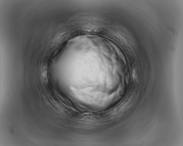 X0000111781396200908061105