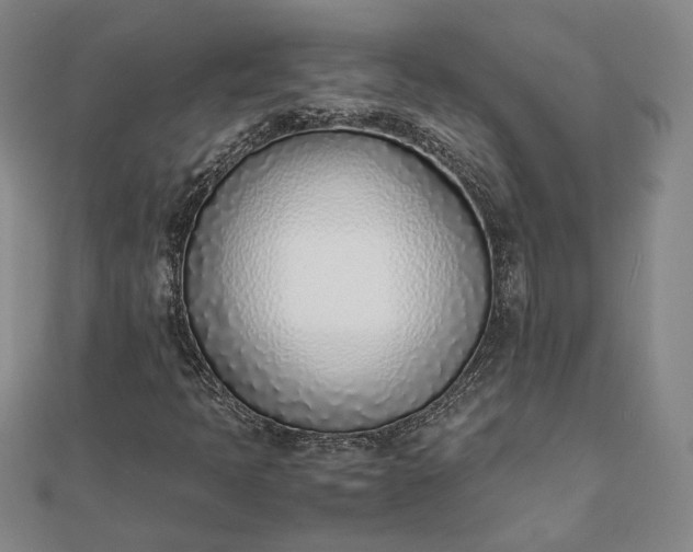 X0000111781397200908061105