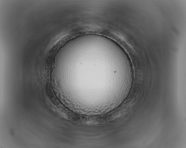 X0000111781399200908061105